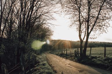 Weg zwischen Schwaney und Dahl | Marlene Köhler